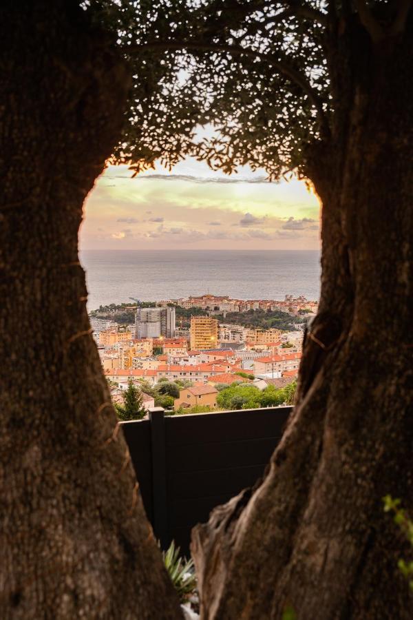 Vila Le Petit Jardin Exotique Beausoleil Exteriér fotografie